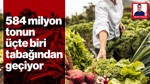 Türkiye'nin sera gazı salımı 584,5 milyon ton: Tarımın payı %12.5