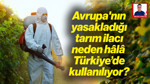 Avrupa'nın Yasakladığı Tarım İlacı Neden Hâlâ Türkiye’de Kullanılıyor?