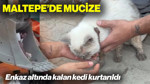 Maltepe'de Mucize: Enkaz Altında Kalan Kedi Kurtarıldı