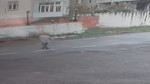 Ordu'nun Ünye İlçesinde Alzhemir Hastası Hüseyin Uzun'dan Günlerdir Haber Alınamıyor