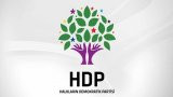 HDP'nin cumhurbaşkanı adayı belli oldu
