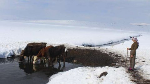 Dünya üçüncüsü milli atletin başarı hikayesi - Resim : 1