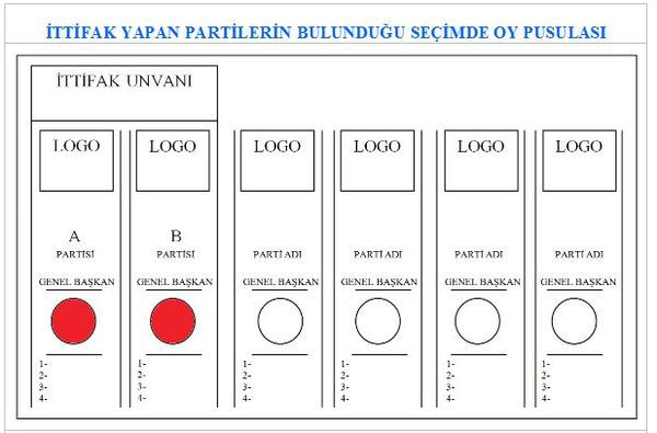 İşte Saray-Bahçeli ittifakının oy pusulası - Resim : 2