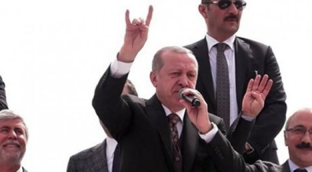 Erdoğan'dan 'bozkurt' açıklaması
