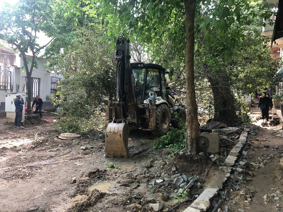 Kuzguncuk'un ağaçları tehlikede - Resim : 1