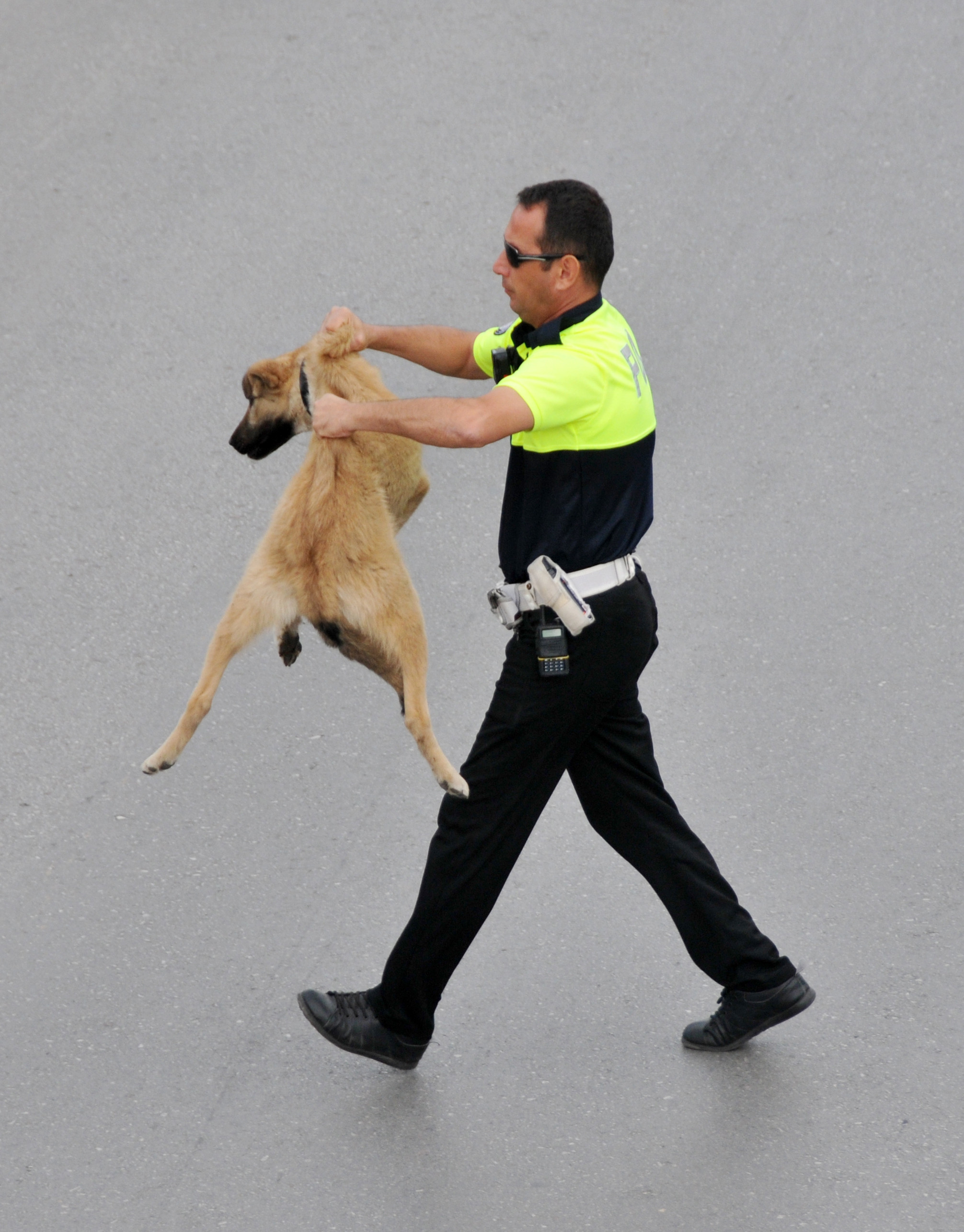 Ayın polisi seçildi! Nedeni ise... - Resim : 1