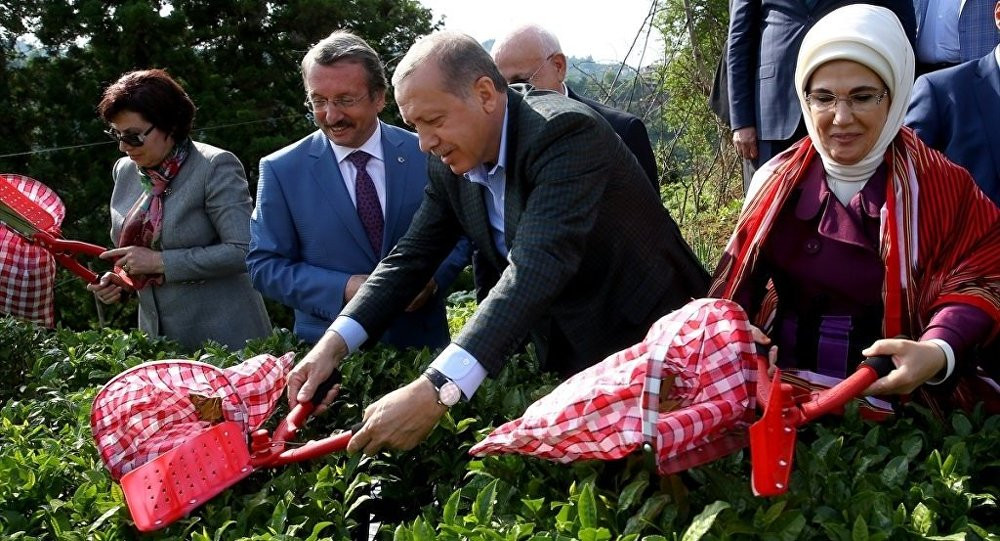 Danıştay, başkanı Zerrin Güngör için kararını verdi - Resim : 1