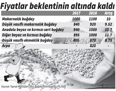 Döviz kuru tarımı vurdu - Resim : 1