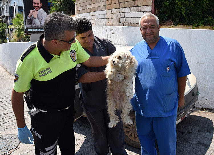 Arabanın içinde bu halde bulundu! Saatlerce... - Resim : 1