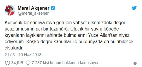 Siyasiler 'hayvan haklarında' birleşti - Resim : 2