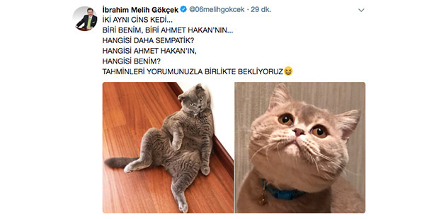 Gökçek sordu, Ahmet Hakan cevap verdi: 'Ezik' - Resim : 1