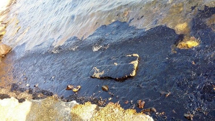 Aliağa ve Foça sahillerinde korkutan kirlilik - Resim : 2