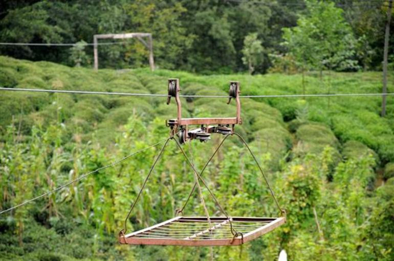 İlkel teleferik can aldı - Resim : 1