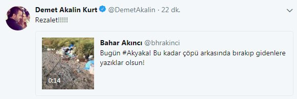 Demet Akalın isyan etti: Rezalet - Resim : 1