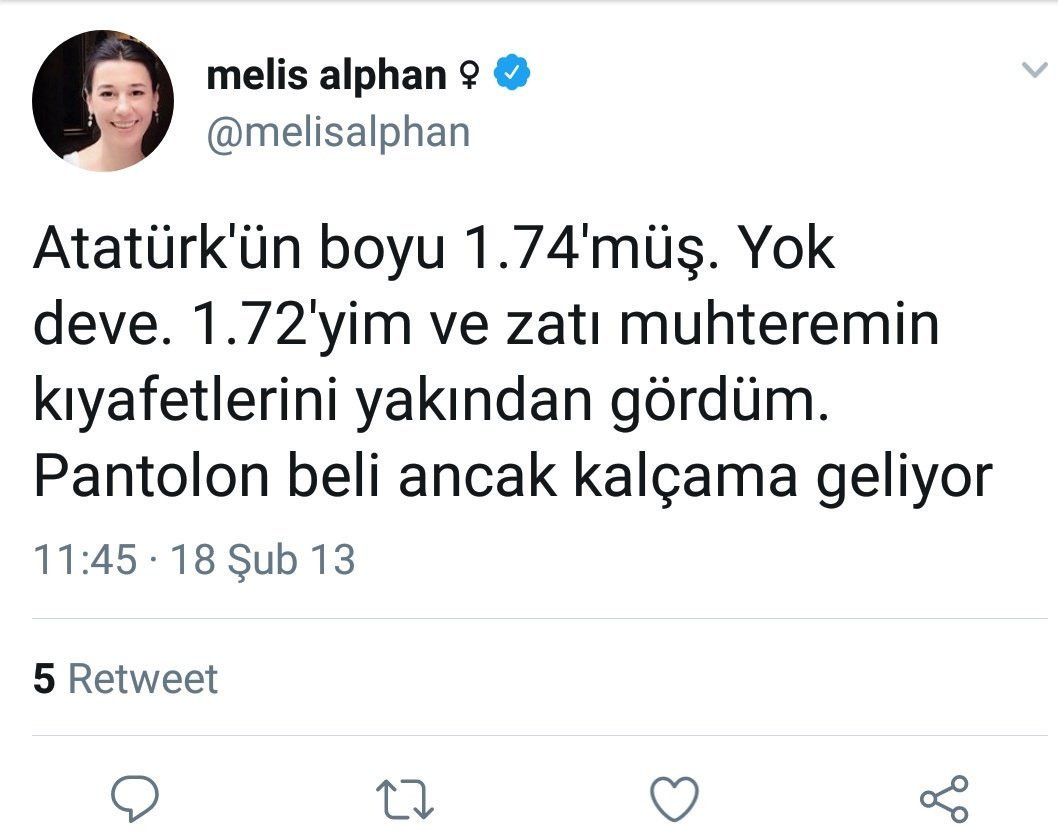 Melis Alphan: Linç ediliyorum - Resim : 2