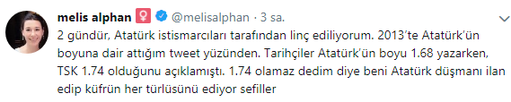 Melis Alphan: Linç ediliyorum - Resim : 1