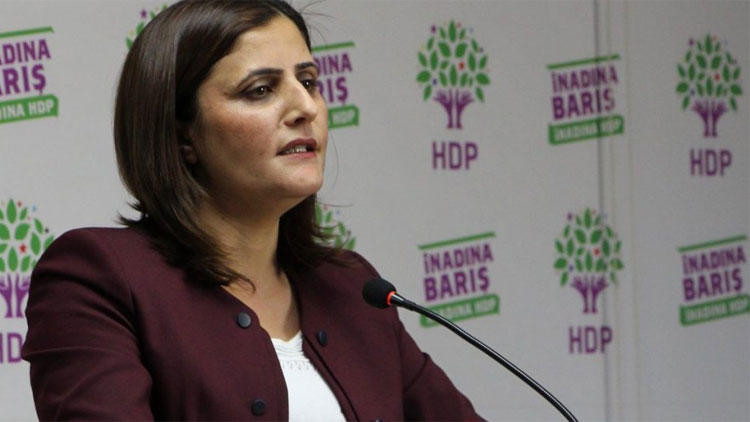 HDP milletvekili hakkında zorla getirilme kararı - Resim : 1