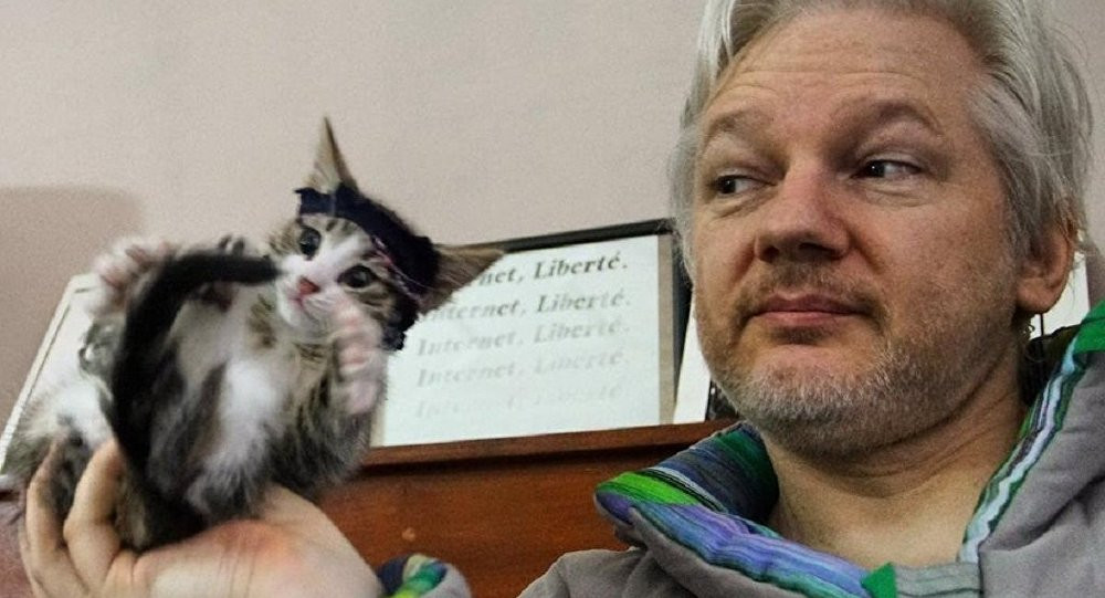 Ekvador'dan Assange'a ültimatom: El koyacağız - Resim : 1