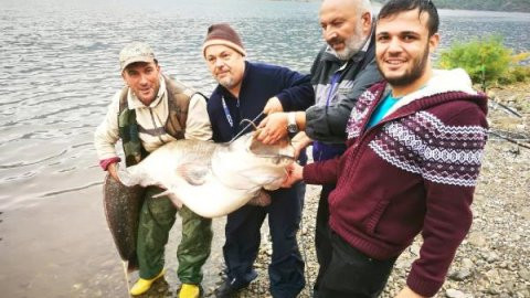 Kızılırmak'ta dev yayın balığı yakaladı - Resim : 1