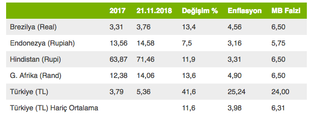 Ekonomist Eğilmez'den uyarı: 2019 yılı sorunlu olacak - Resim : 1