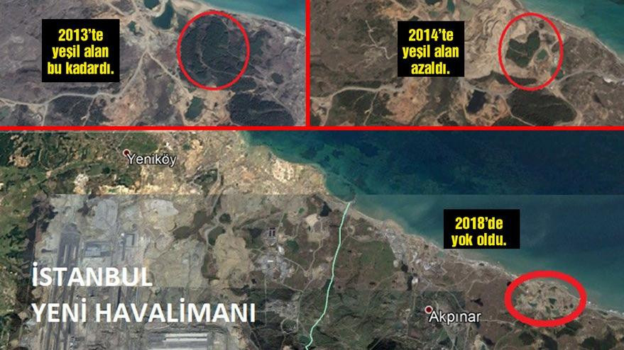 Havalimanı 5 yılda koca ormanı yuttu - Resim : 1