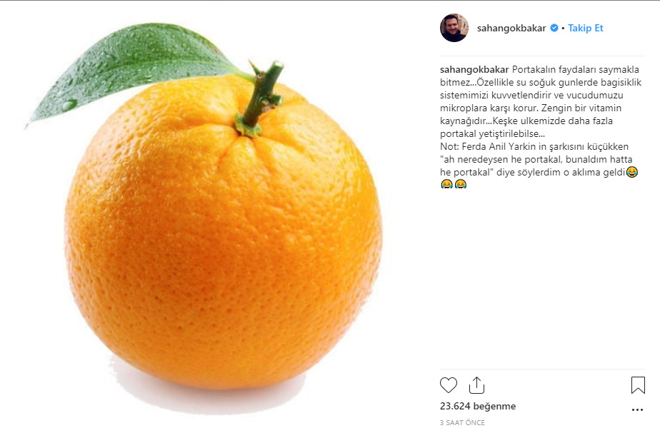 Şahan Gökbakar'dan 'portakal' mesajı - Resim : 1