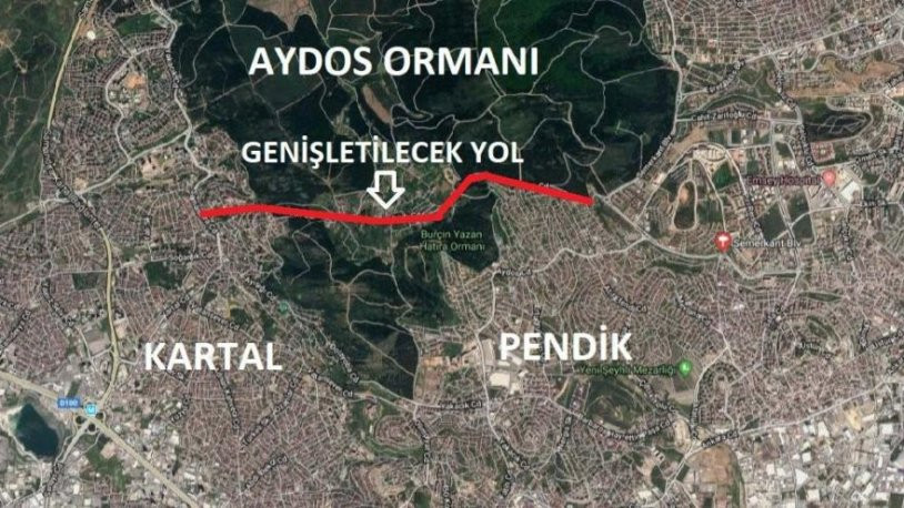 Aydos ormanı yola feda edildi - Resim : 1