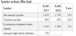 İşte AKP hükümetinin 2018 yılı ekonomi karnesi - Resim : 4