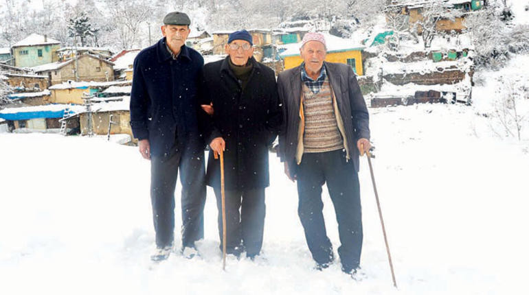 3 kardeş 70 yıl boyunca ağaç dikerek orman yaptı! - Resim : 1