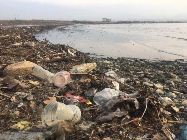 İzmit Körfezi'nde göçmen kuşların cenneti kirlendi - Resim : 1