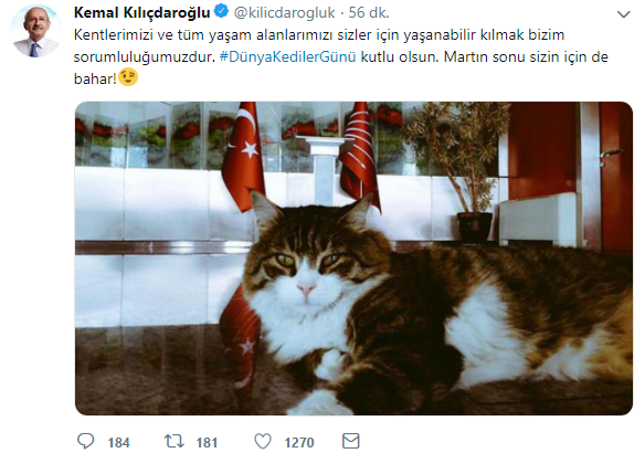 Kılıçdaroğlu, Dünya Kediler Günü’nü Şero’yla kutladı - Resim : 1