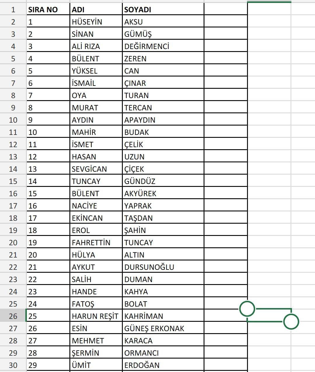 CHP İstanbul Avcılar Belediye Meclis Üye aday listesi - Resim : 1