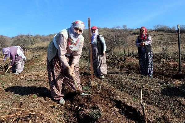 Tarlada çalışan kadınlara pastalı kutlama - Resim : 1