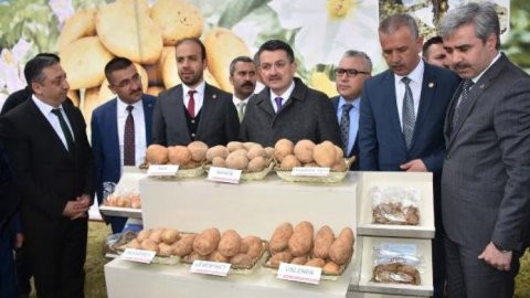 Patates ithalatında Pakdemirli faktörü!