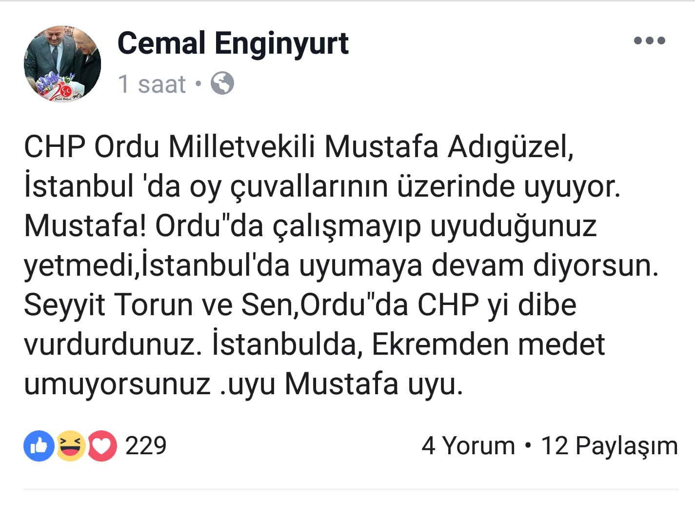 CHP'li Adıgüzel'den MHP'li Enginyurt'a sandık yanıtı - Resim : 1
