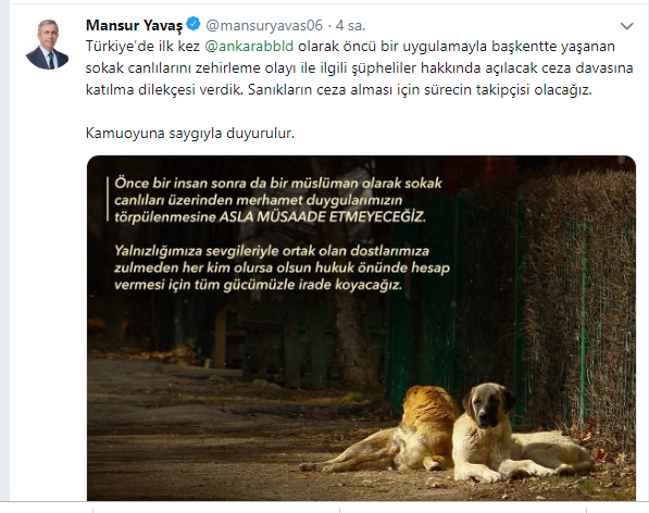 Mansur Yavaş'tan katledilen köpeklerle ilgili flaş hamle - Resim : 1