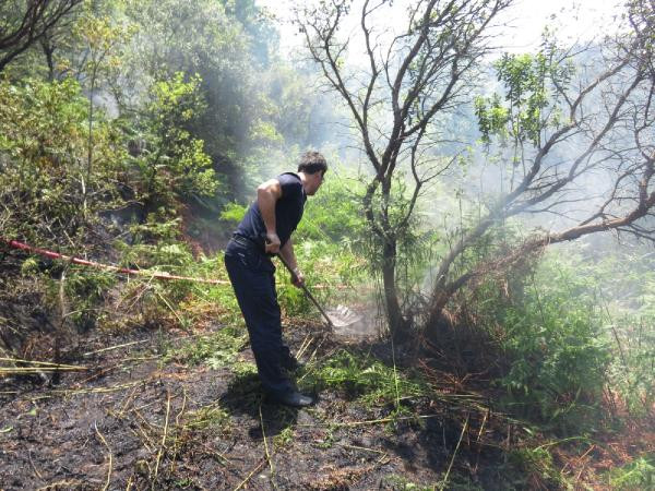 Kavacık'taki orman yangını söndürüldü - Resim : 1