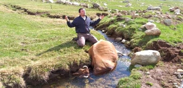 Haluk Levent o çiftçiye iyi haberi sosyal medyadan verdi - Resim : 1