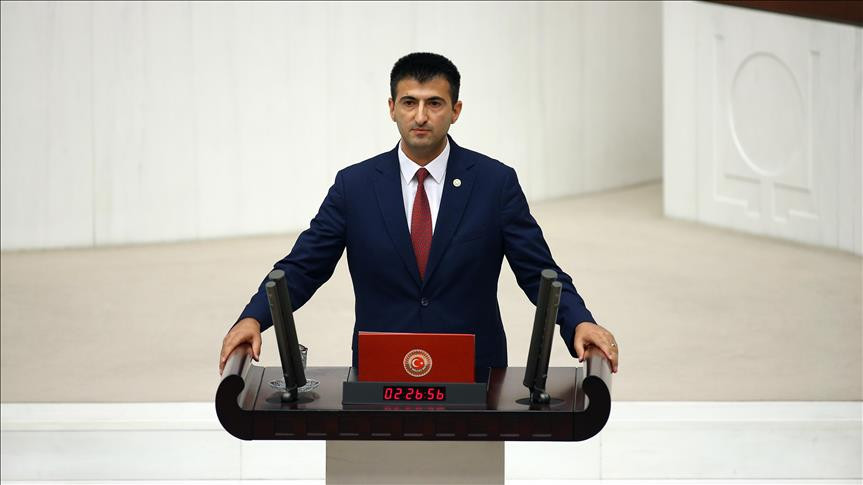 Mehmet Ali Çelebi, Memleket Hareketi'nin sözcüsü olacak