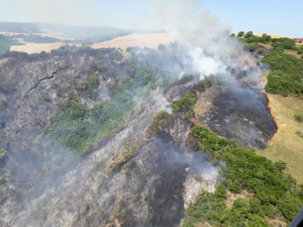 Gelibolu'da orman yangını - Resim : 1
