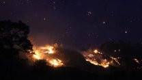 17 saat sürdü, 350 hektar yandı! Dalaman'da orman yangını kontrol altında
