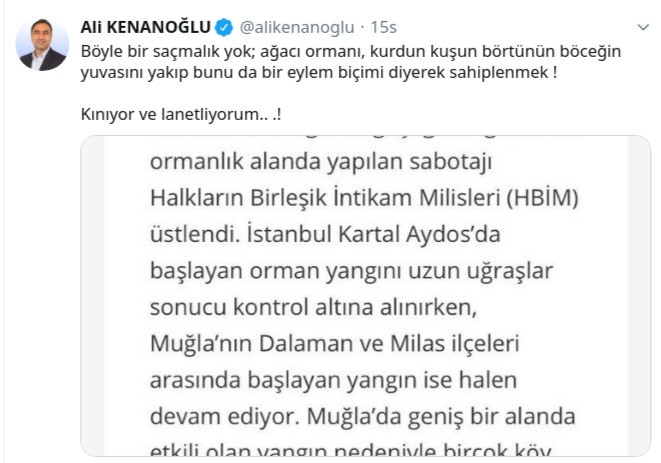 HDP'li vekilden orman yakanlara tepki: Böyle bir saçmalık yok - Resim : 1