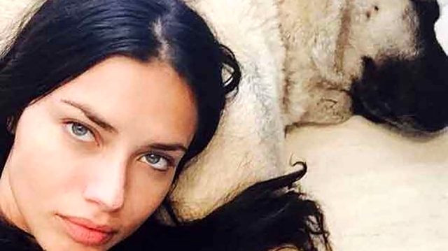 Adriana Lima, evi için Sivas Kangalı aldı - Resim : 1