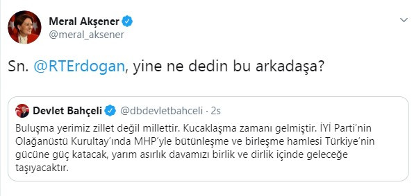Meral Akşener'den Erdoğan'a 'Devlet Bahçeli' sorusu - Resim : 2