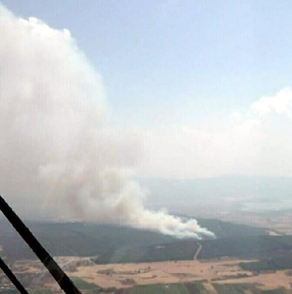 İzmir'de orman yangını - Resim : 1