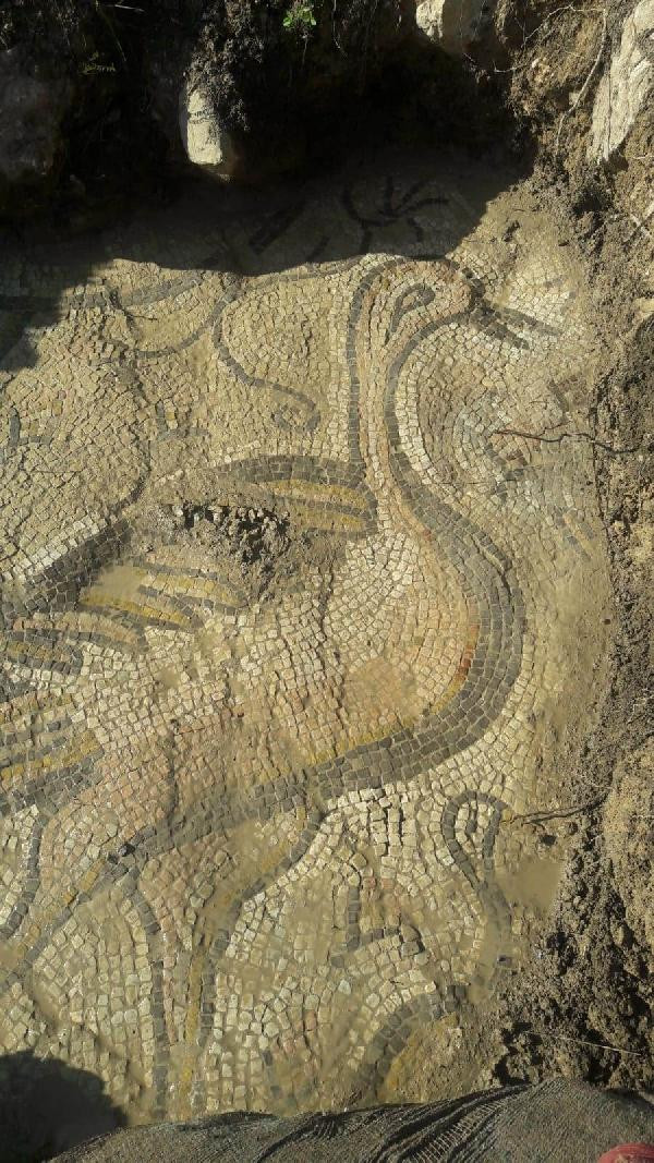 Bizans dönemine ait mozaiği çiftçiler buldu - Resim : 1