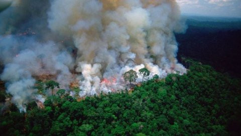 Amazon ormanları bir haftadır yanıyor!