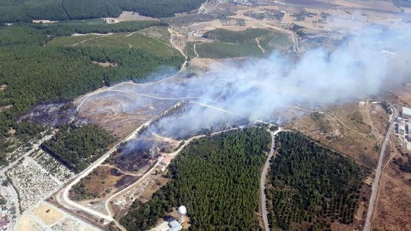 İzmir'de ağaçlandırma sahasında yangın - Resim : 2