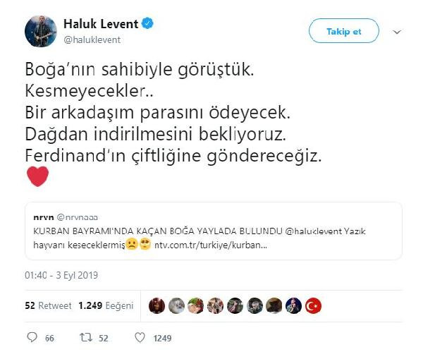 Haluk Levent yaylaya kaçan boğanın imdadına yetişti - Resim : 1