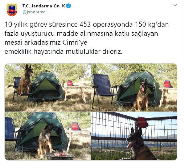 Narkotik köpeği 'Cimri'ye sosisli emeklilik kutlaması - Resim : 1